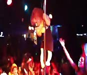 Zorra enana se desnuda