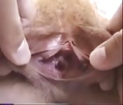 Pequeño y estrecho coño